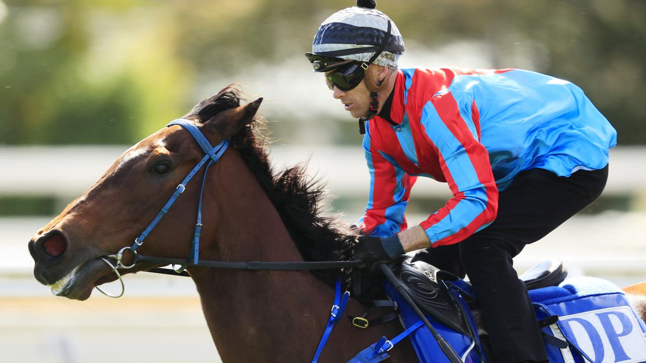 Warwick Farm Barrier Trials