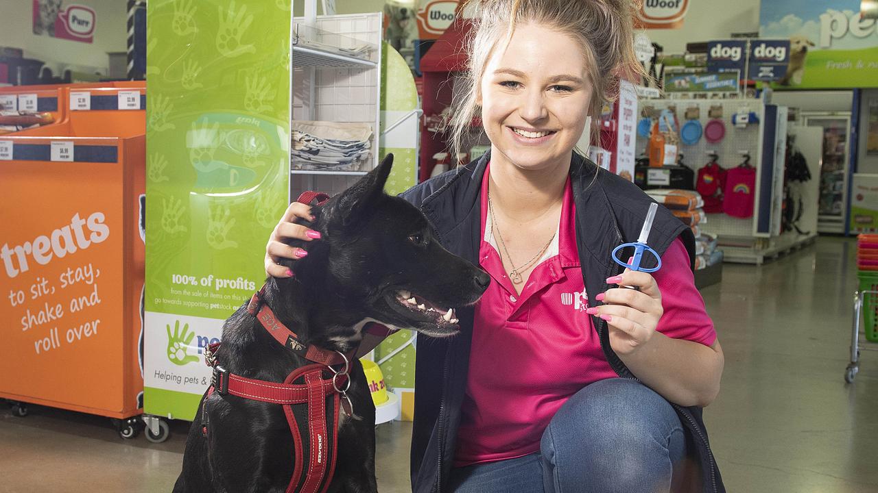 Petstock microchipping store