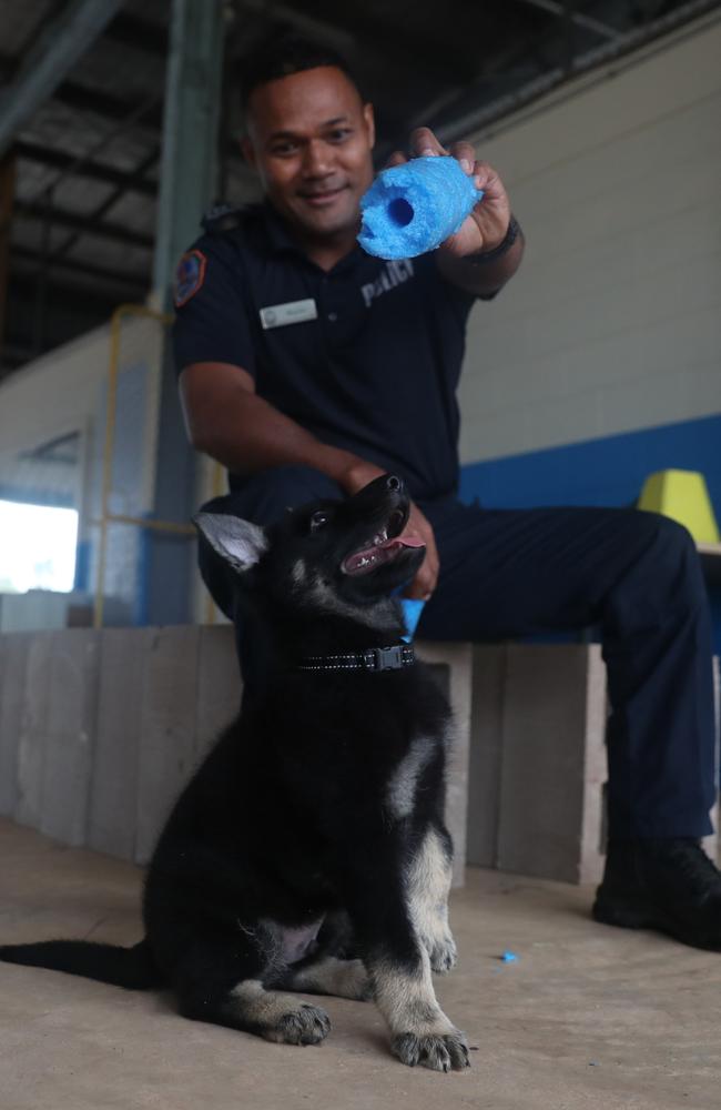 NT Police Dog Operations Unit officer Riva Zio with the squad's newest recruits, Axe and Jax.