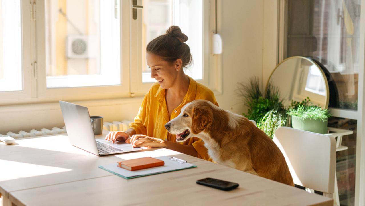 ‘Half a billion minutes saved’: Proof working from home is better