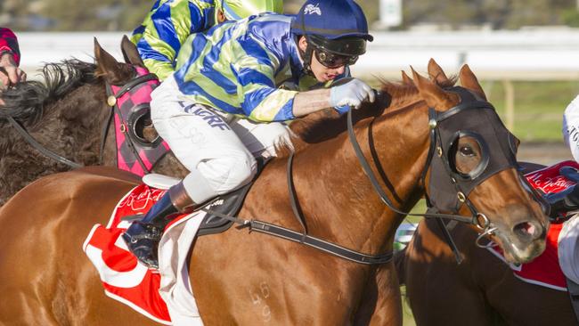 Matthew Neilson is riding in great form. Picture: Atkins Photography