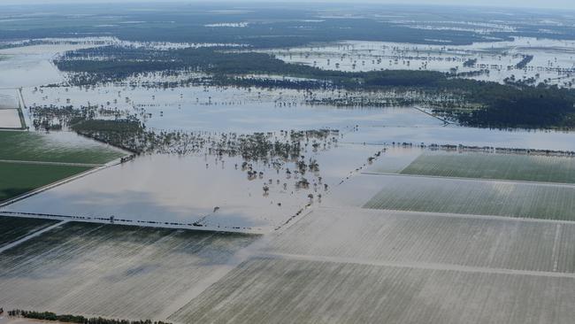 When floods hit the NSW Border region, local irrigators say their harvest of water into on-farm storages is “inconsequential”.