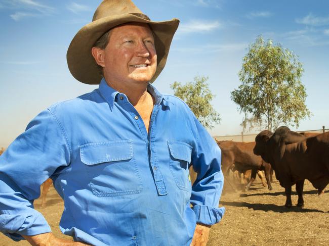 Fortescue Metals Group chairman Andrew Twiggy Forrest on his homestead Minderoo. Source: Andrew Forrest/FMG Picture: Supplied