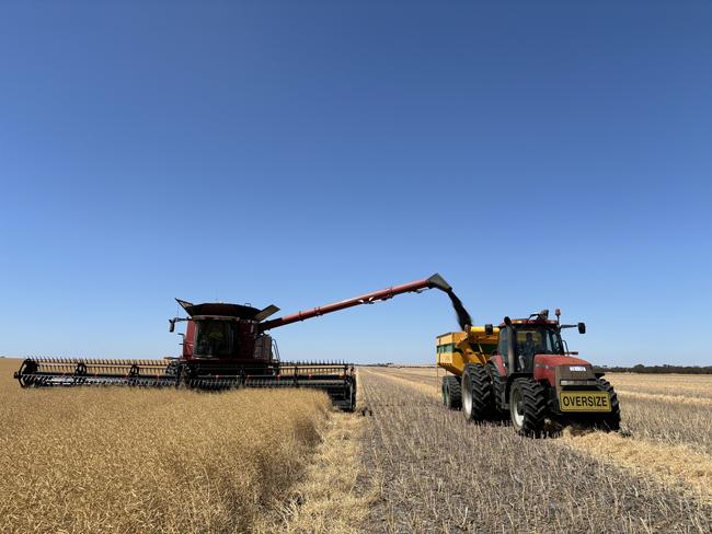 Harvest of canola at the Talbot family property in Western Australia. Picture: Supplied