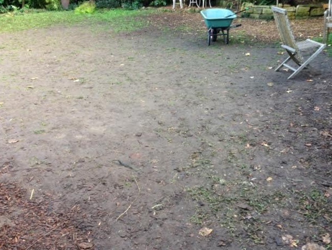 What used to be grass was turned into mud during the party.