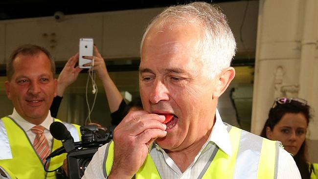 Is Malcolm Turnbull holding out on us? Pic Lyndon Mechielsen/News Corp