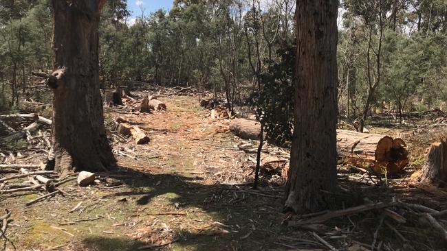 Tasmanians buying firewood should check it has been sourced legally and ethically. Picture: TASMANIA POLICE