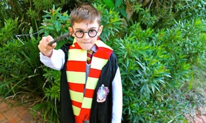 Harry Potter Costume  Baby harry potter costume, Pregnant halloween, Harry  potter costume