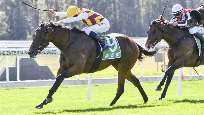 The unbeaten Anavinci makes her long-awaited comeback at Randwick on Saturday. Picture: Bradley Photos