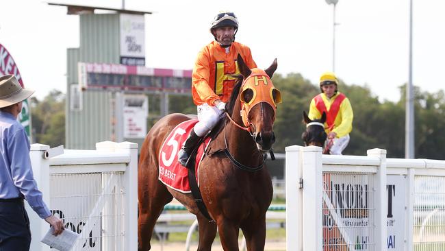 Full Recognition, ridden by Chris Whiteley, returns to scale after winning Race 3 at the Cairns Jockey Club, Cannon Park, Woree. PICTURE: BRENDAN RADKE.