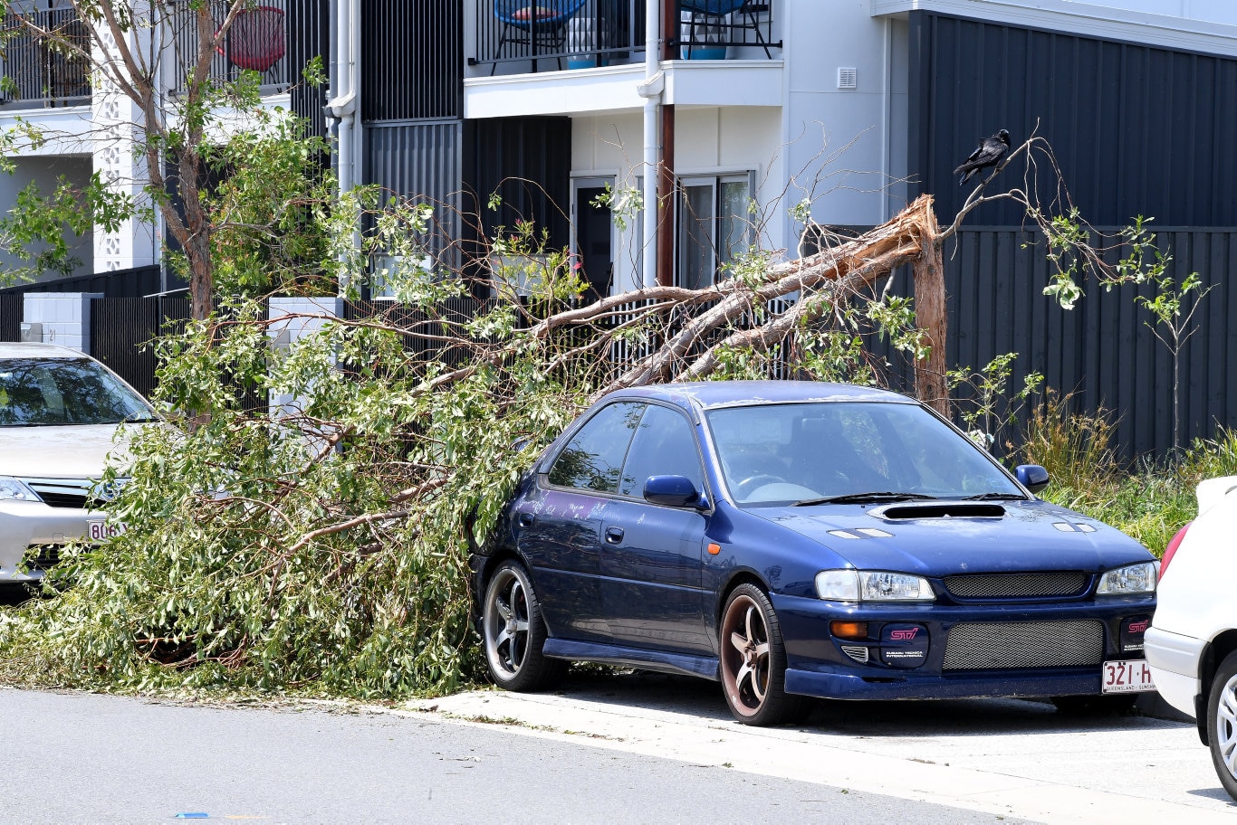 Cleaning up after the Sunday storm on the Sunshine Coast Coast.Tree on a car in Aura Estate