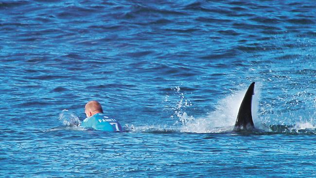 Australian surfer Mick Fanning being attacked by a shark at Jeffreys Bay, South Africa, in July. Source: supplied/AFP