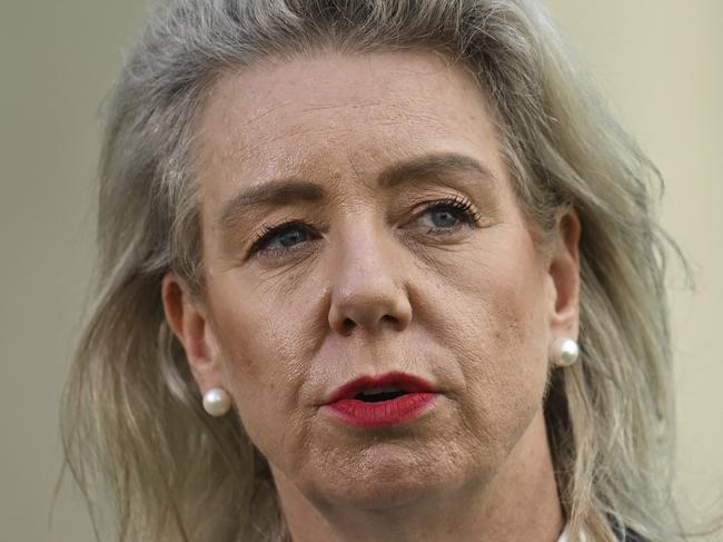 CANBERRA, AUSTRALIA, NewsWire Photos. SEPTEMBER 28, 2023: Senator Simon Birmingham and Senator Bridget McKenzie hold a press conference after an inquiry into Australia's bilateral airservices arrangements at Parliament House in Canberra. Picture: NCA NewsWire / Martin Ollman