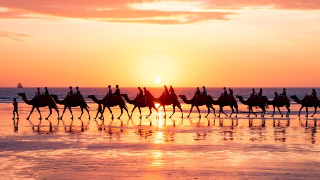 Camels on Cable Beach. Photo: CJ Maddock