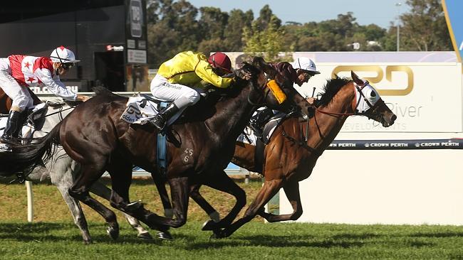 Perth Cup winner Black Tycoon (rails) after Damien Oliver produced one of the great rides to salute in West Aust...