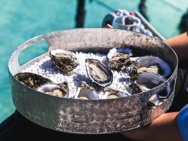 Man who ate 41 oysters so sick he ‘lost his vision’