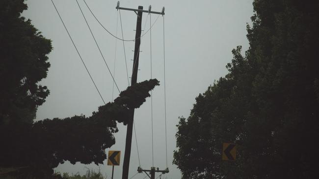 Trees threatening powerlines in the Byron Bay Hinterland as a result of heavy rain brought by Cyclone Alfred . Picture: NewsWire / Glenn Campbell