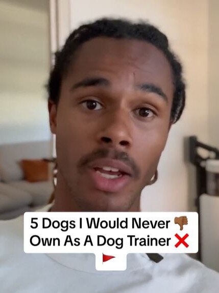 Sydney dog trainer Elijah Boateng revealed the breeds he would never own. Picture: TikTok@apexdogtraining