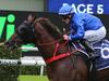 Brad Davidson’s tips: Conditions made to order for Gravina