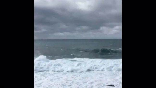 Bodyboarder Knocked by Huge Wave in Sydney