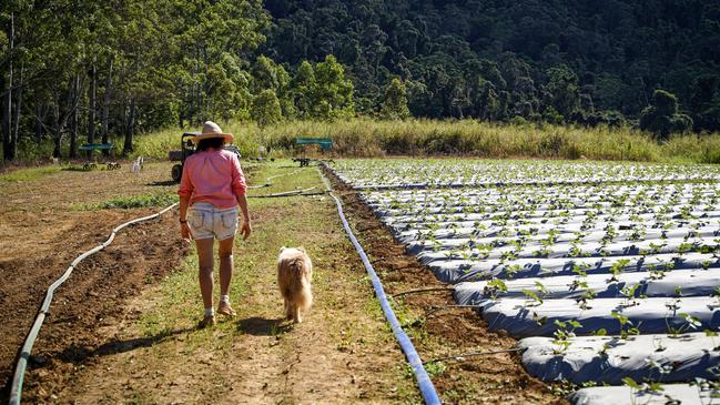 Ballantyne’s Strawberries former co-owner Margaret Ballantyne with border collie Straw on the Cameron’s Pocket farm. Picture: Heidi Petith