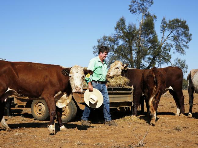 Vet Mark Baker hand feeds animals on his drought-stricken property near Gunnedah. Picture: Peter Lorimer