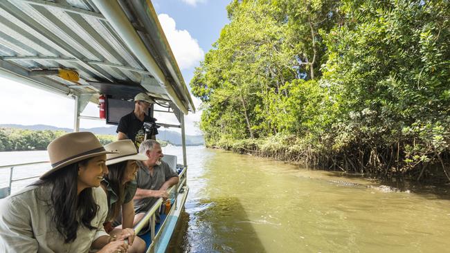 Guests spotting wildlife on a Solar Whisper Wildlife and Crocodile Cruise, on the Daintree River. Photo: TTNQ