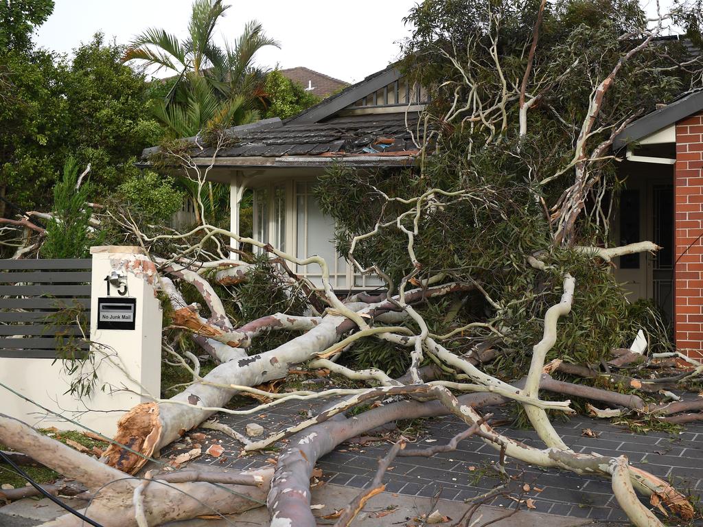 Storm damage is seen in Gordon, north of Sydney, Tuesday, November 26, 2019. A severe fast moving thunderstorm has passed over Sydney resulting in fallen trees and downed power lines in several Sydney suburbs. (AAP Image/Dan Himbrechts)