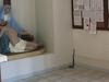 Watch: ‘Crazy’ moment snake slithers into a church
