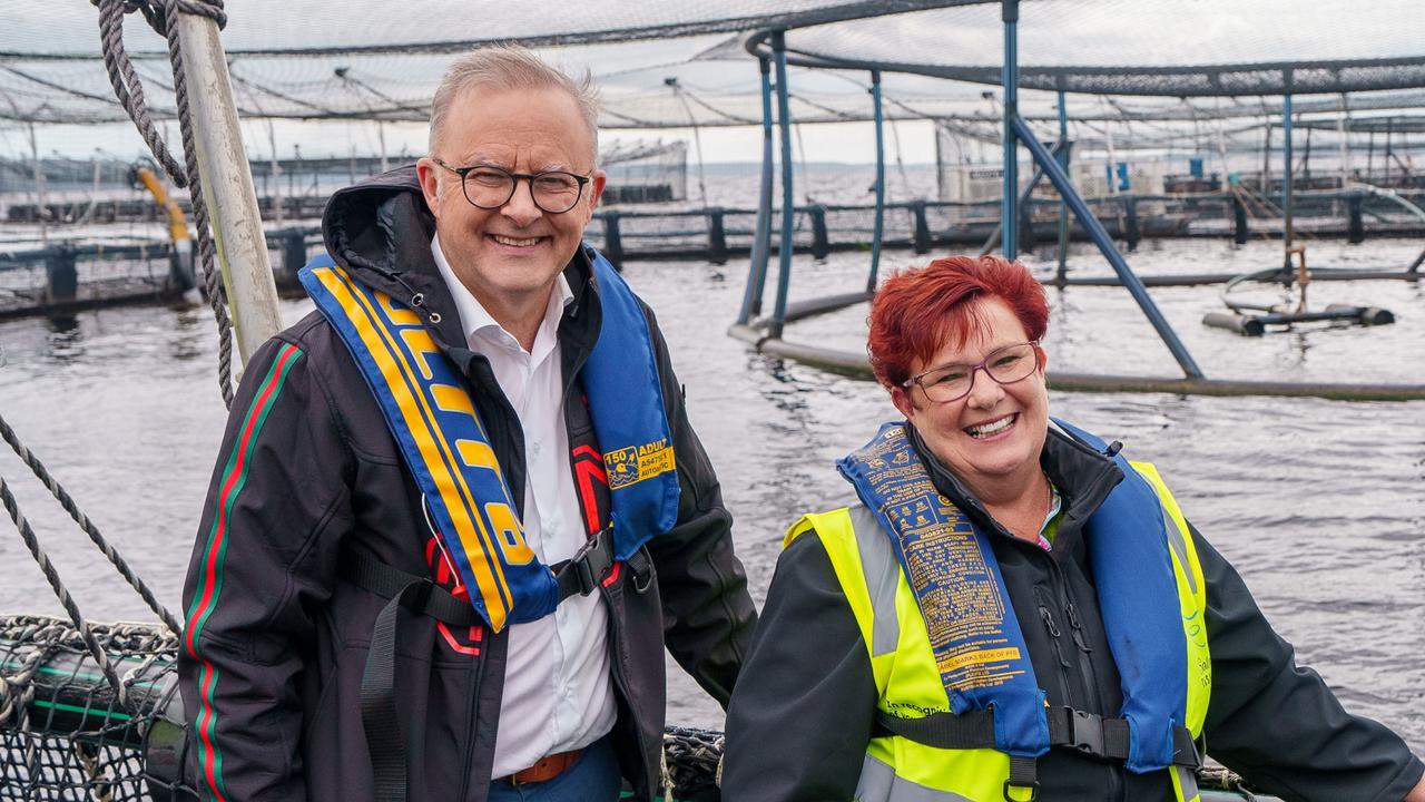 Albanese moves to shore up salmon farms, Plibersek off the hook