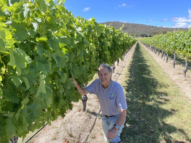 Queensland grapegrower Brad Hutchings at Savina Lane Premium Wines in the Granite Belt (Photo: Supplied)