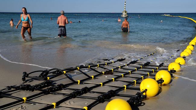 Swimmers inside a shark barrier at Cottesloe Beach in WA