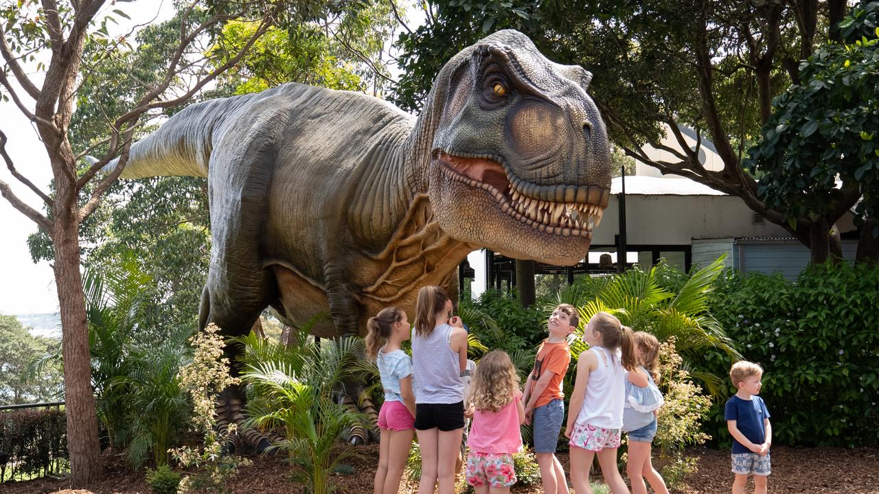 Kids News: Scientists lock horns over the brain power of Tyrannosaurus ...