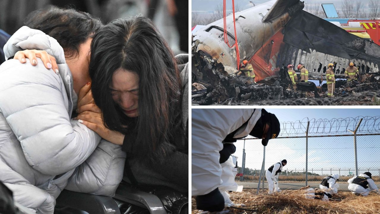 Huge DNA discovery in Korean air disaster