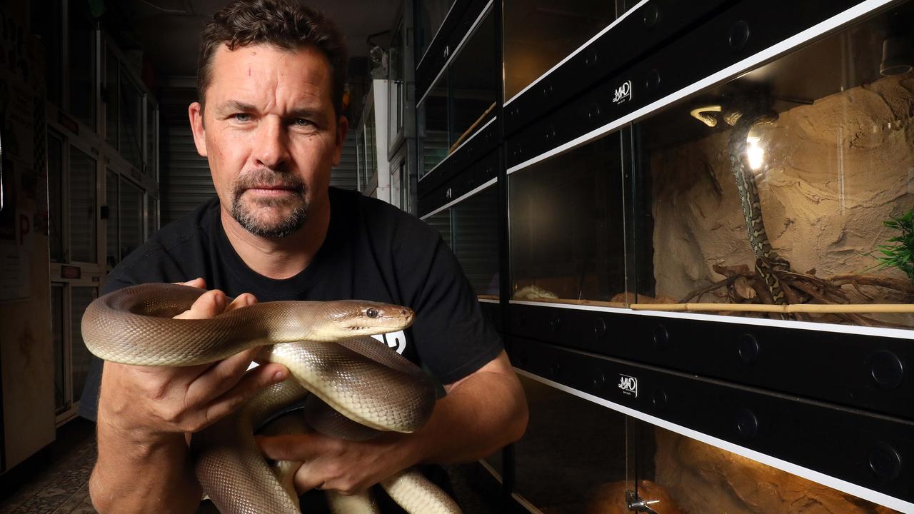 Snake catcher Sean Cade says he has noticed snakes are much longer and fatter this year. Picture: James Croucher