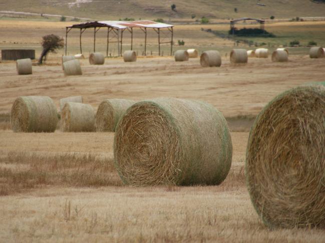 On call: Winter demand for hay remains despite pasture growth.