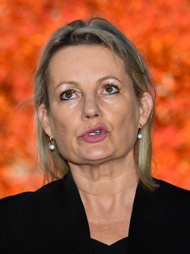 Liberal Member for Farrer Sussan Ley. Picture: AAP/Mick Tsikas