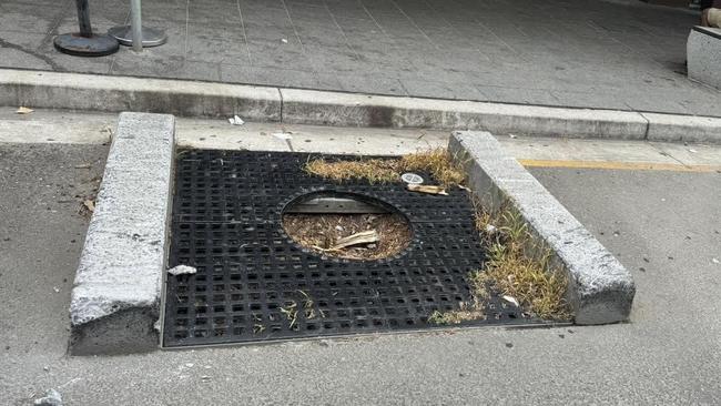 Two concrete blocks on Coogee Bay Road have sparked outrage among locals who are demanding they be removed