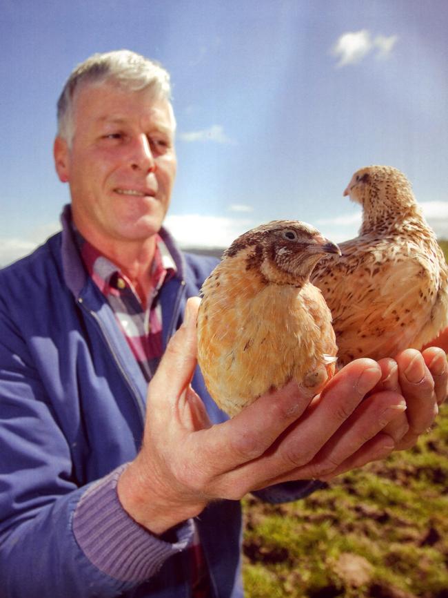 Nubeena’s Bruce Wiggins supplies up to 7000 of his Rannoch Farm quail a week to restaurants and gourmet food stores nationally.