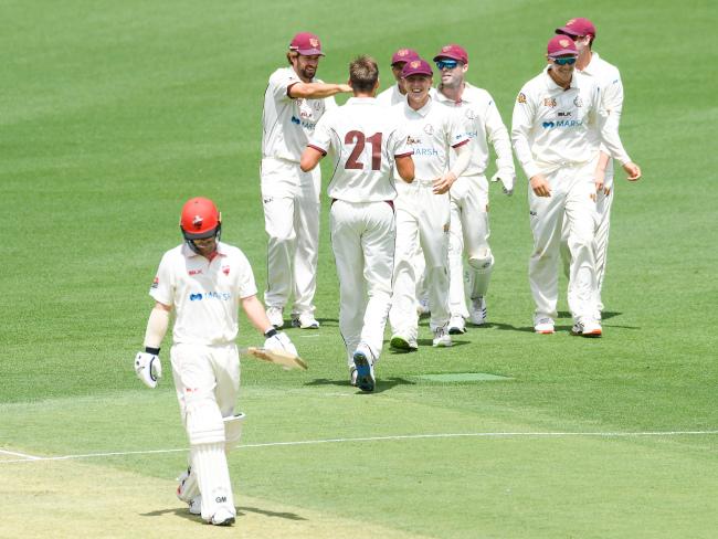 Queensland Bulls players celebrate Travis Head's 25-ball duck. Picture: AAP