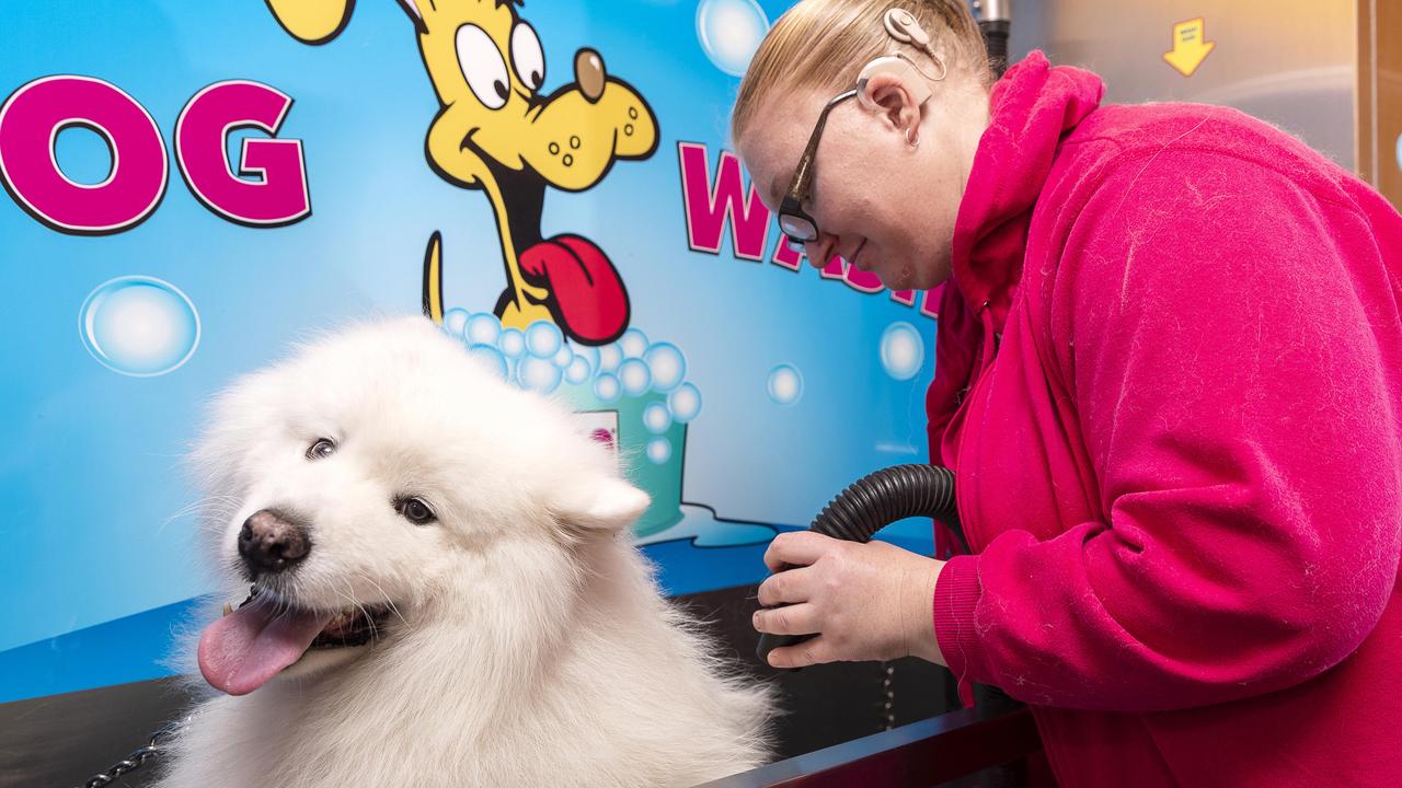 Melbourne’s best dog groomer Nominate your favourite dog groomer