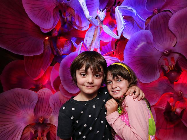 Sonny and Matilda, from Spotswood, in the Orchid Mantis exhibit at Melbourne Museum. Picture: Ian Currie