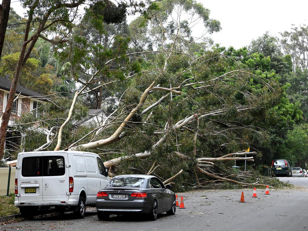 Storm damage is seen in Gordon, north of Sydney, Tuesday, November 26, 2019. A severe fast moving thunderstorm has passed over Sydney resulting in fallen trees and downed power lines in several Sydney suburbs. (AAP Image/Dan Himbrechts)