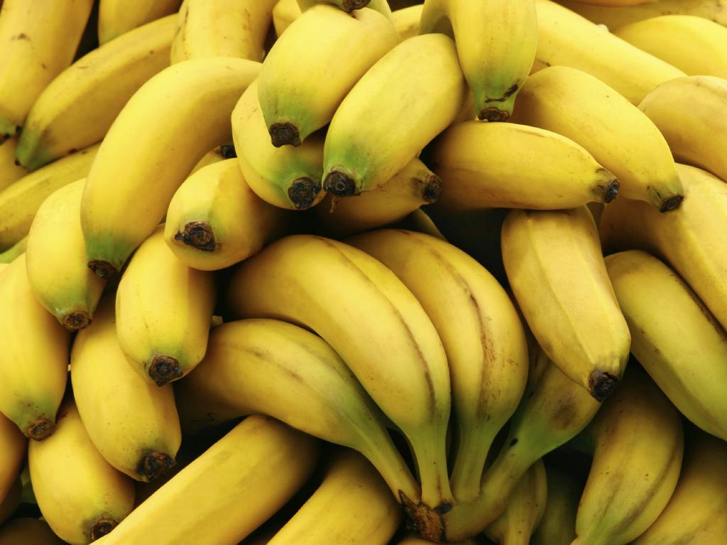 Close-up of genetically modified bananas.