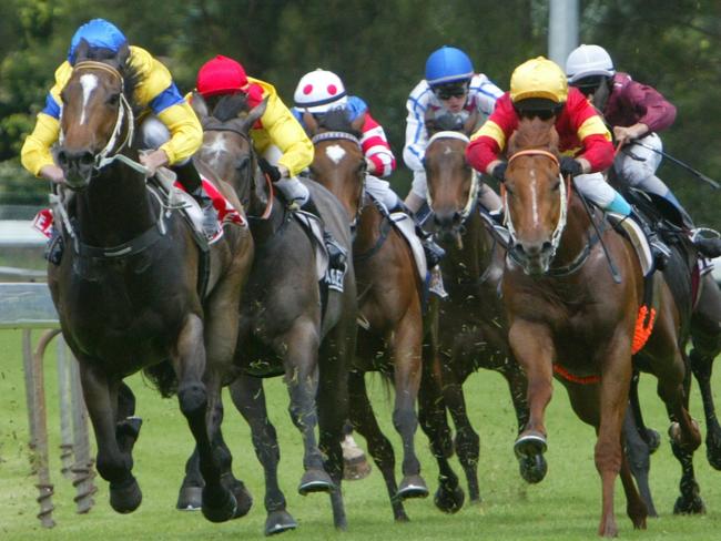 Daily Telegraph .Racing returns to Wyong racetrack .Horses round the home turn in the 2nd race . Story Thomas.