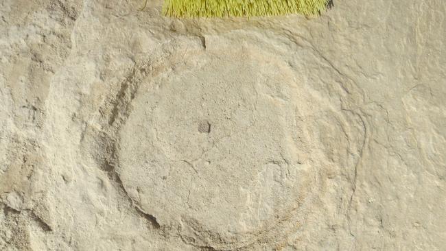 The fossilised elephant footprint found in the Nefud Desert. Picture: AFP