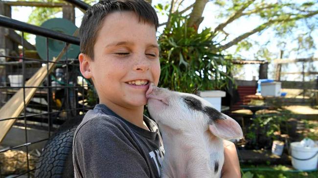 BACK HOME: Peppa the piglet gives Kahn Hughes a kiss. Picture: mike knott