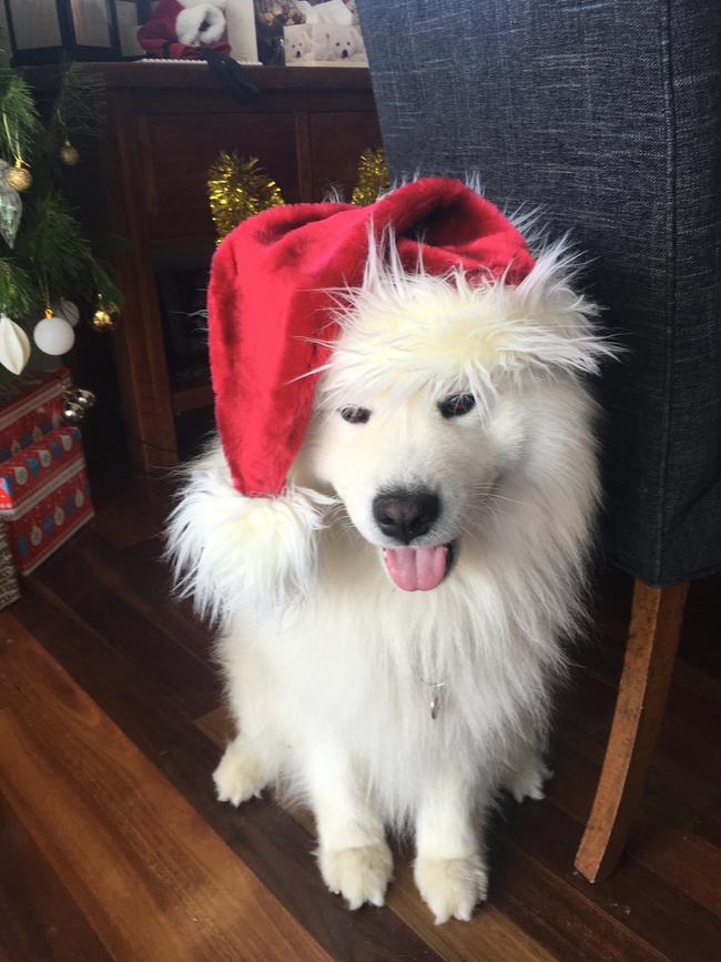 Here comes Santa! Oh, it is Leon from Donvale. Picture: Supplied