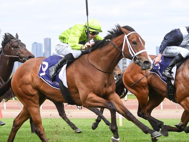 Stretan Angel ridden by Damian Lane wins the World Pool Danehill Stakes at Flemington Racecourse on October 07, 2023 in Flemington, Australia. (Photo by Pat Scala/Racing Photos via Getty Images)