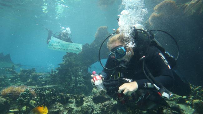 Sea World divers joined the Environmental Divers on a mock clean-up at Shark Bays Tropical Reef Pool in preparation for the real thing in Gold Coast waterways. Picture: Glenn Hampson